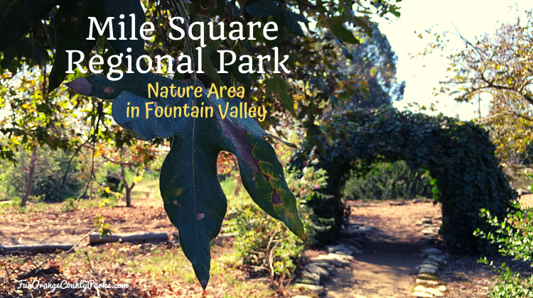 Fountain Valley — kemping i natura w Fountain Valley