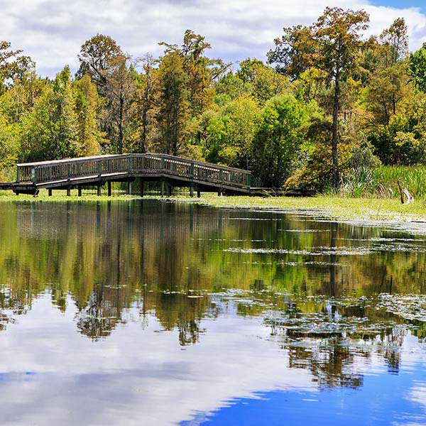 Santee — Santee campground nature