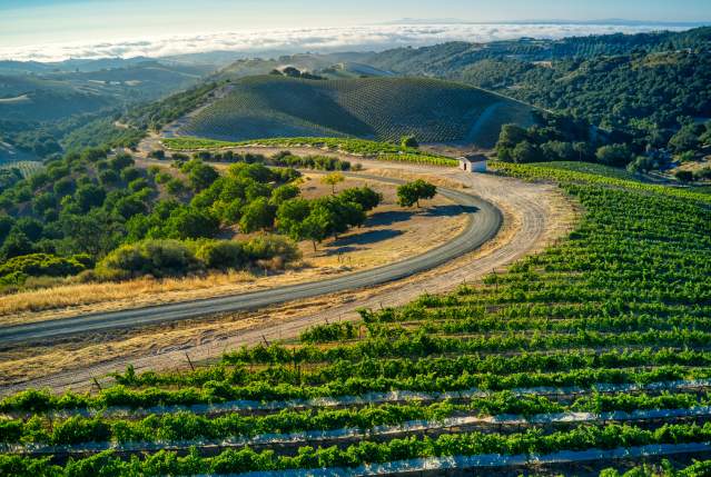 Paso Robles — malowniczy krajobraz podróżny Paso Robles
