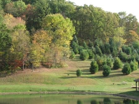 Spring Valley — Spring Valley campground nature