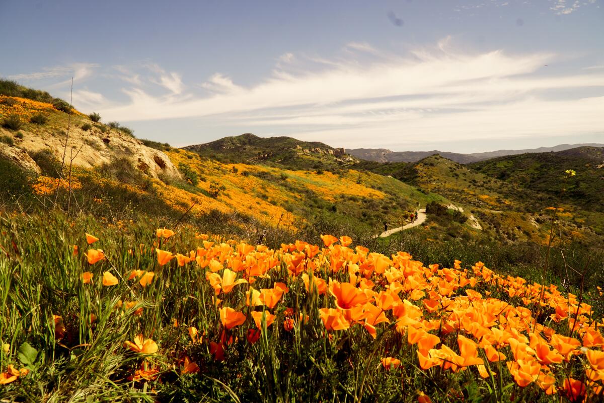 Orange County — Orange County scenic landscape travel
