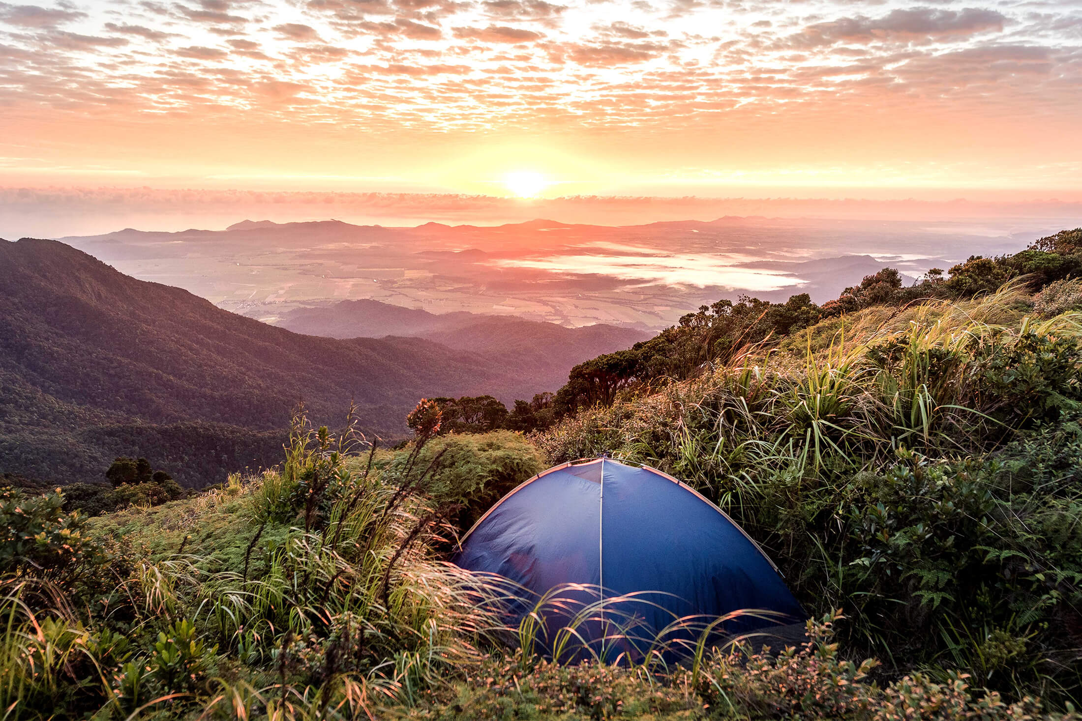 Cairns — Cairns campground nature