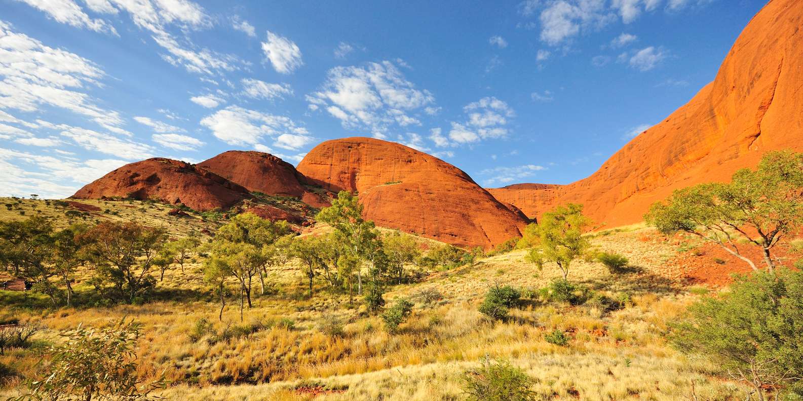 Alice Springs — Alice Springs scenic landscape travel