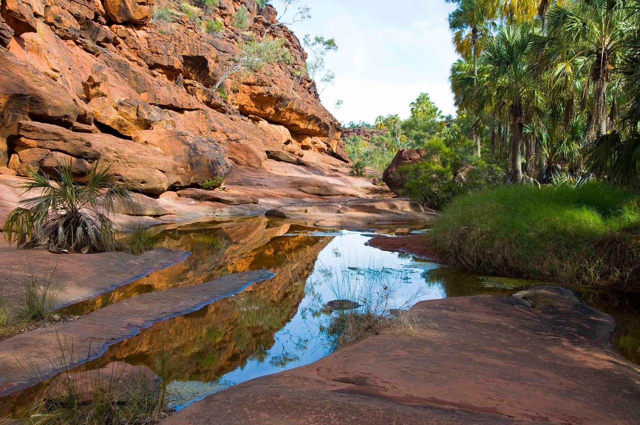 Alice Springs — Alice Springs campground nature