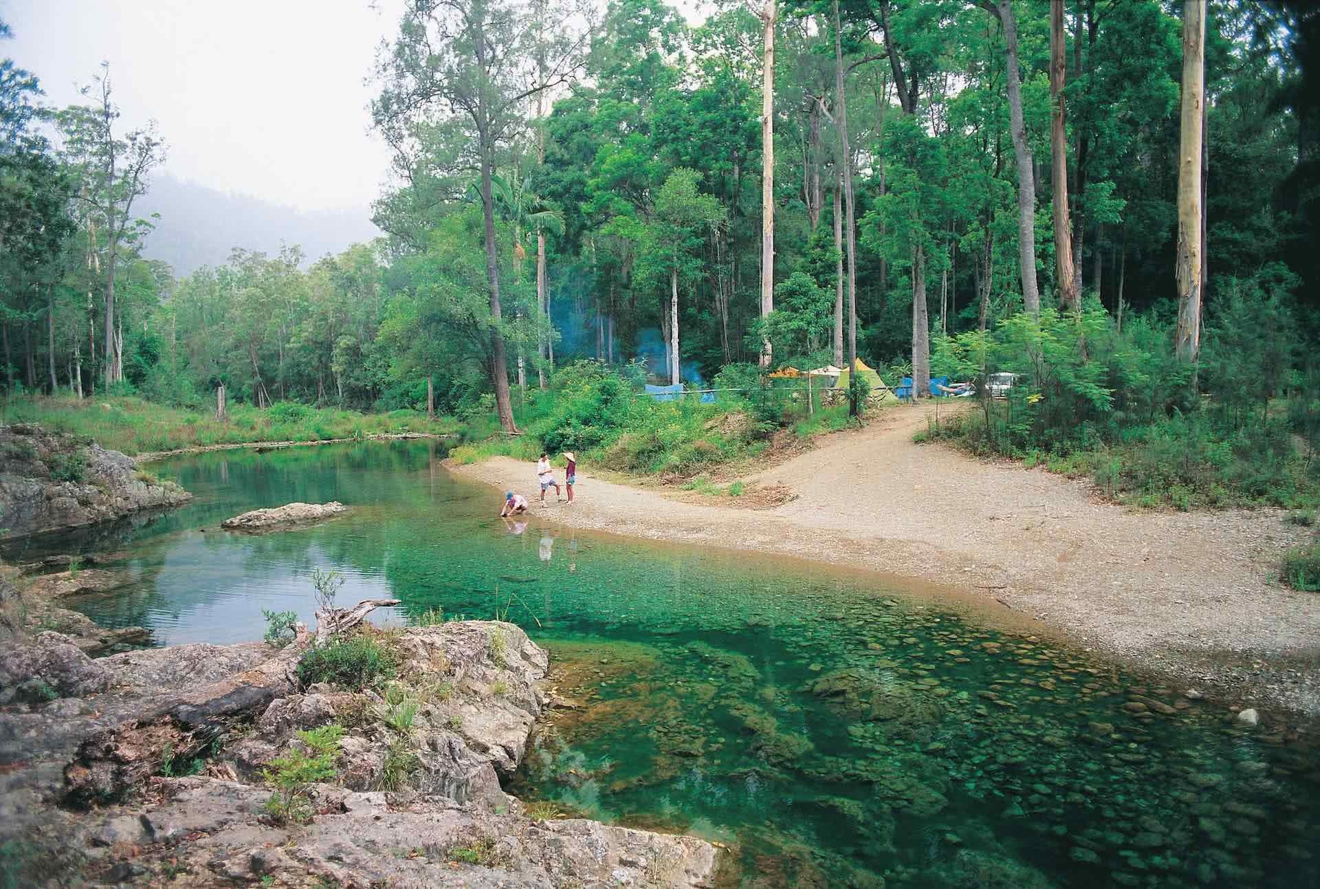 Brisbane — Brisbane campground nature