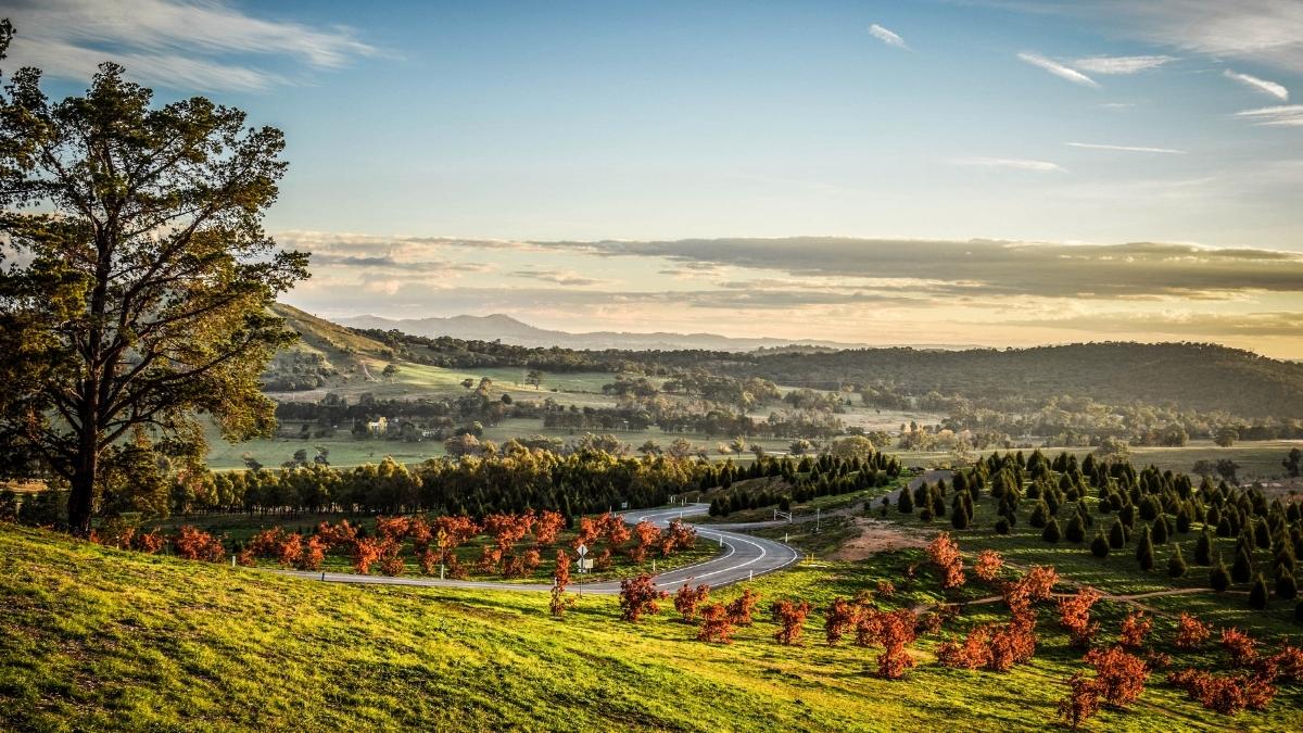 Canberra — kemping na łonie natury w okolicach Canberry