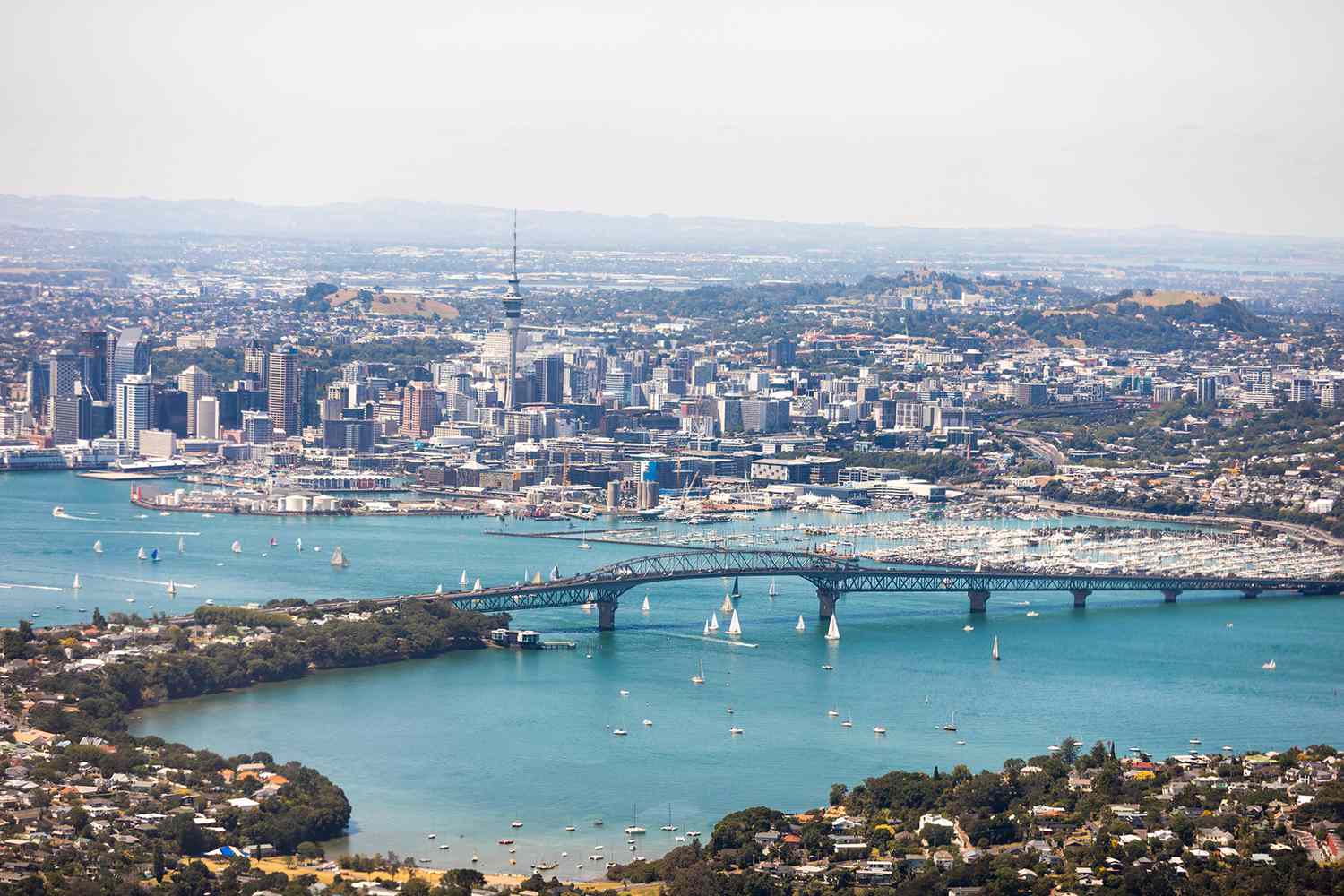 Auckland — Auckland scenic landscape travel
