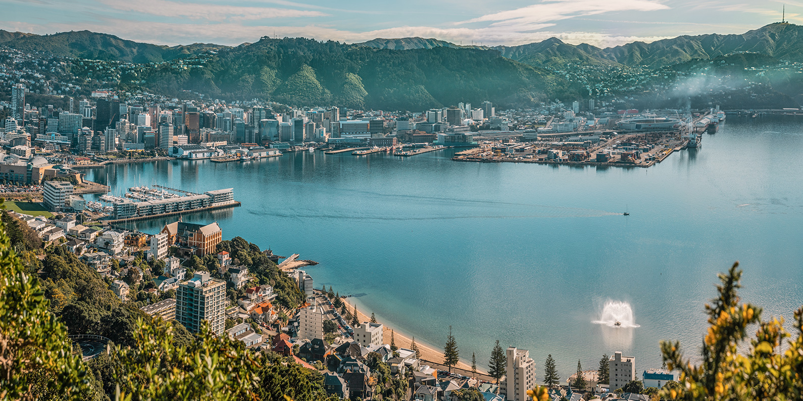 Wellington — malowniczy krajobraz podróżniczy Wellington