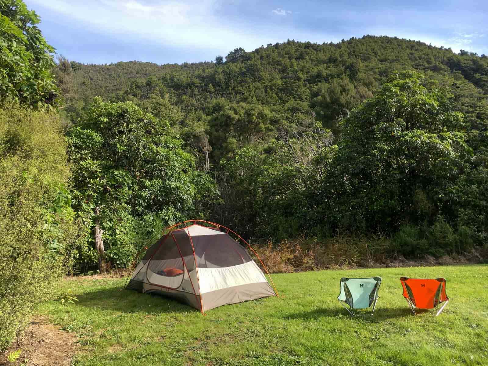 Wellington - Airport — Wellington - Airport campground nature