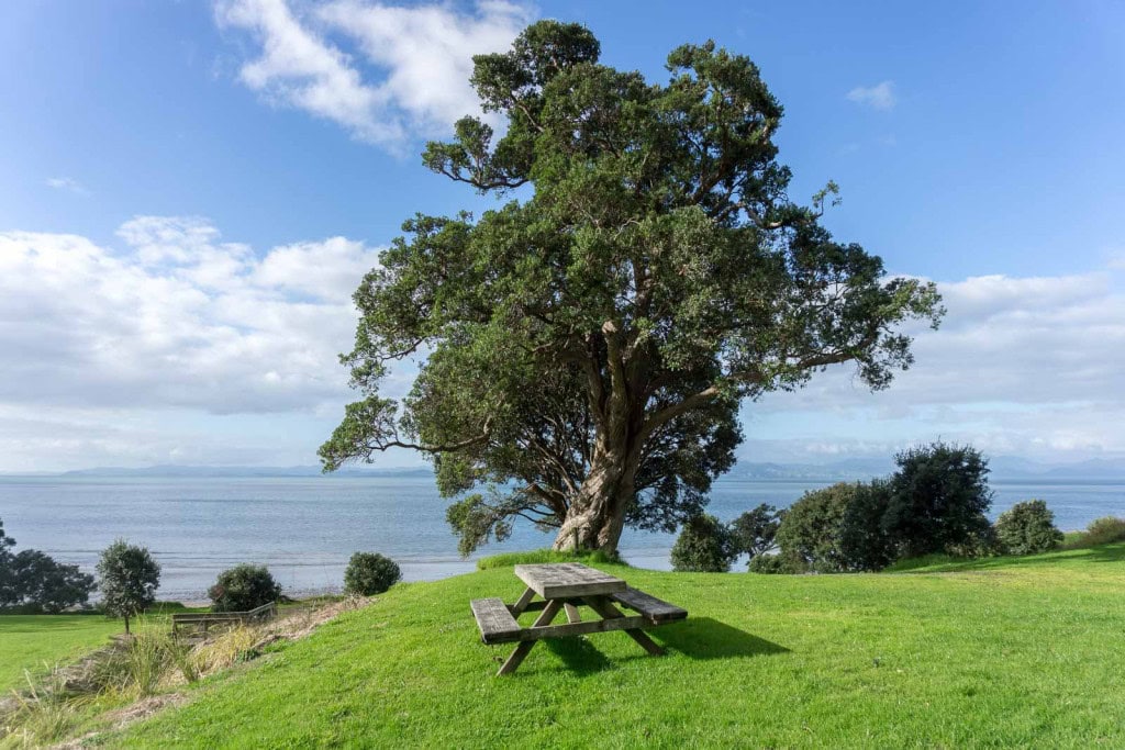 Otahuhu — Otahuhu campground nature