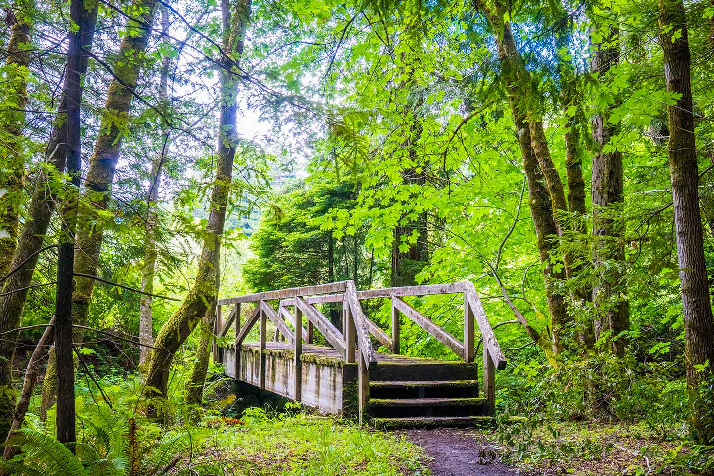 Hamilton — Hamilton campground nature