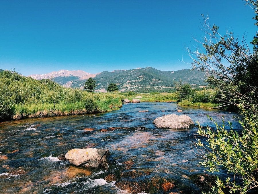 Denver — Denver campground nature