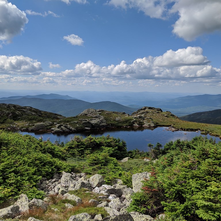 Littleton — kemping i natura w Littleton