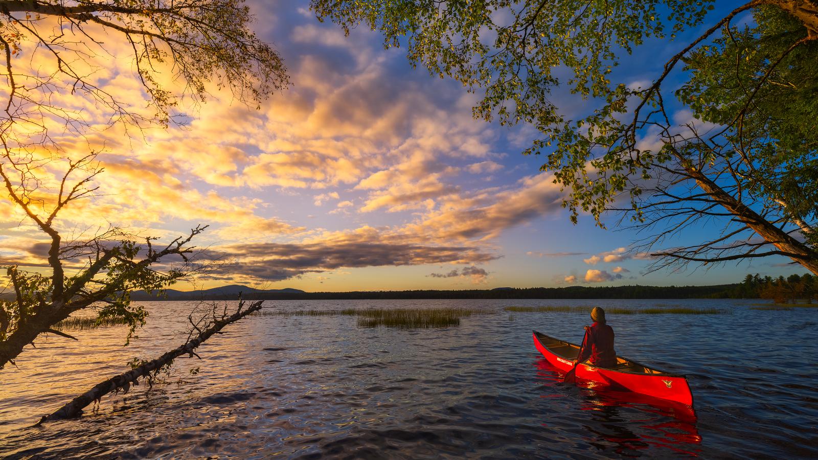 Golden — Golden campground nature