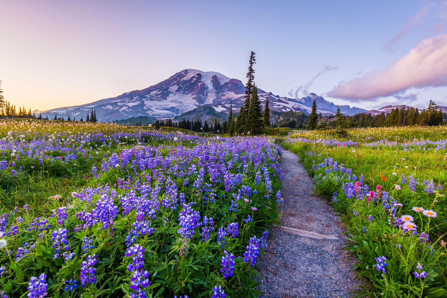 Seattle — Seattle scenic landscape travel