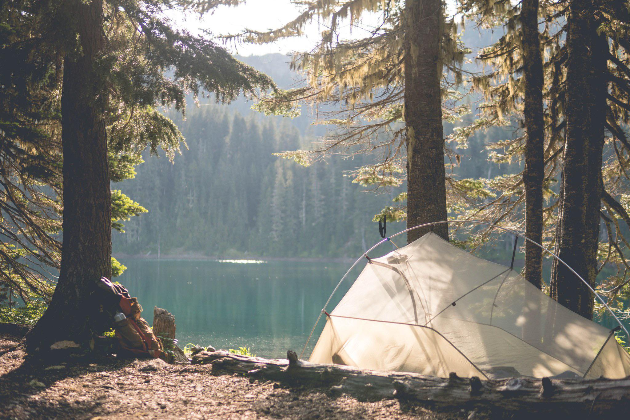 Seattle — Seattle campground nature