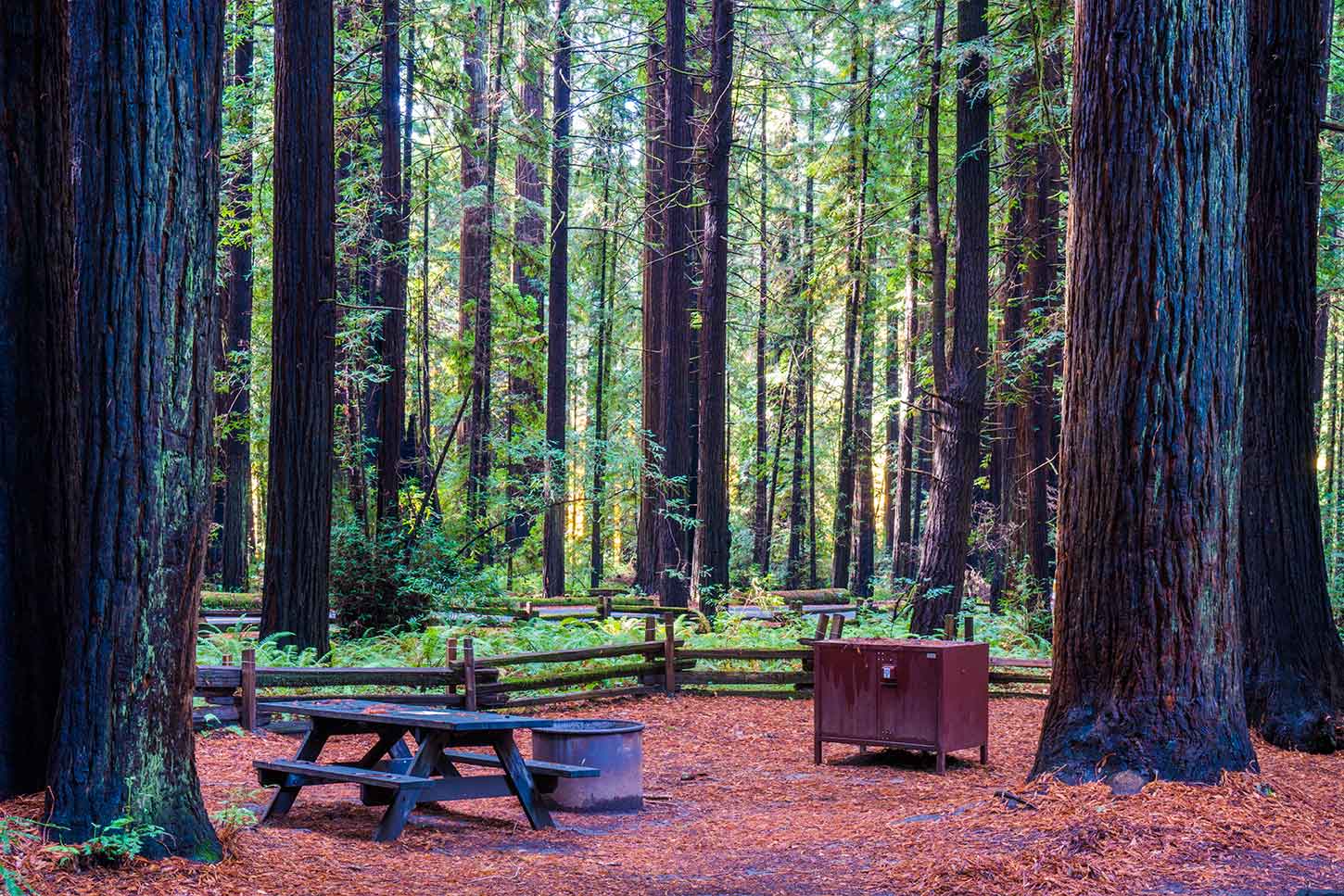 Burlington — Burlington campground nature