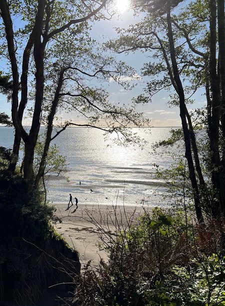 Tacoma — Tacoma campground nature