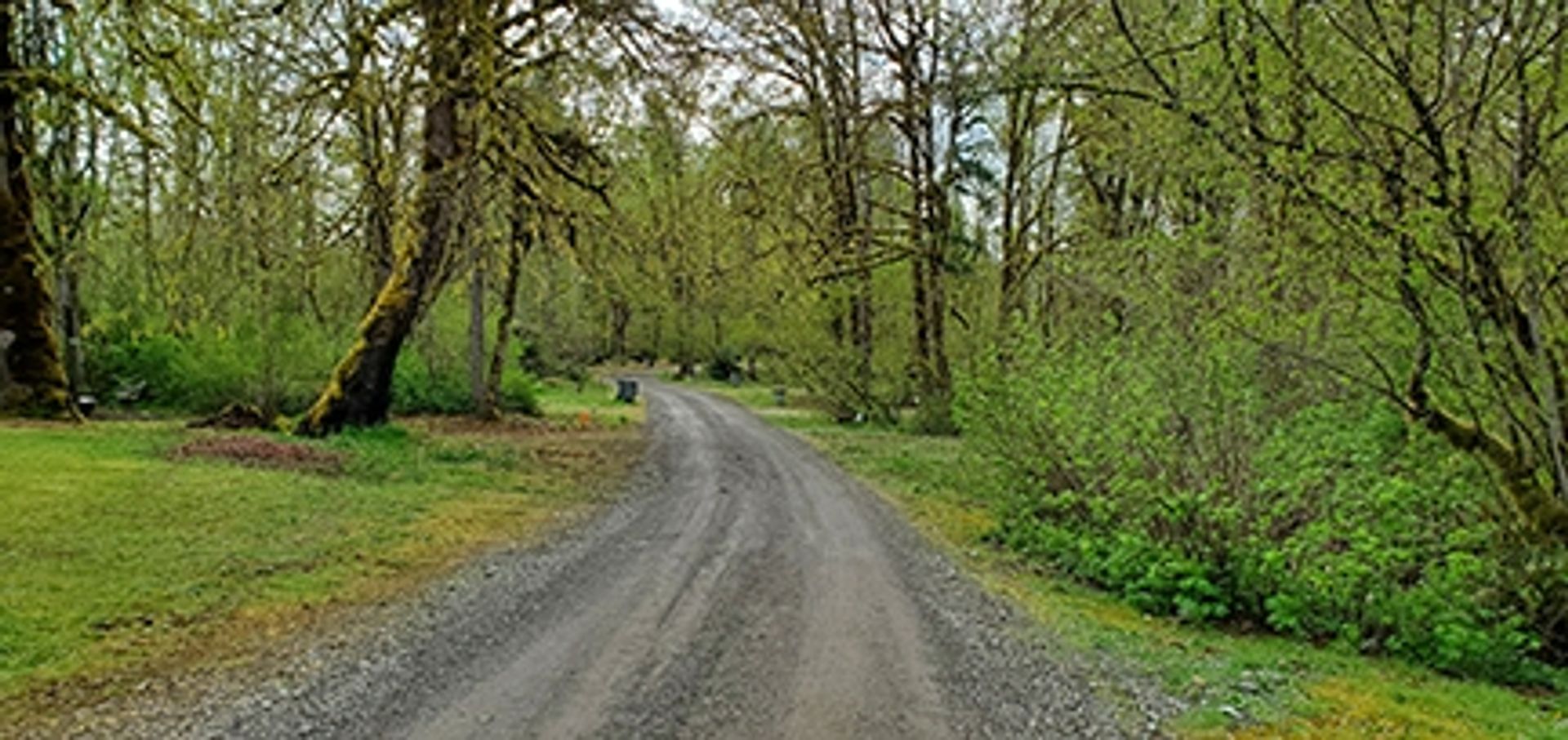 Federal Way — kemping w naturze w Federal Way