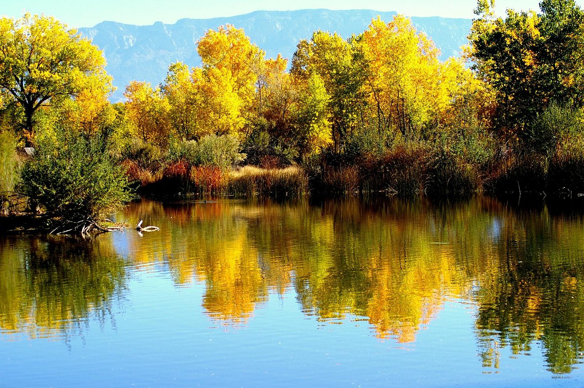 Albuquerque — Albuquerque campground nature