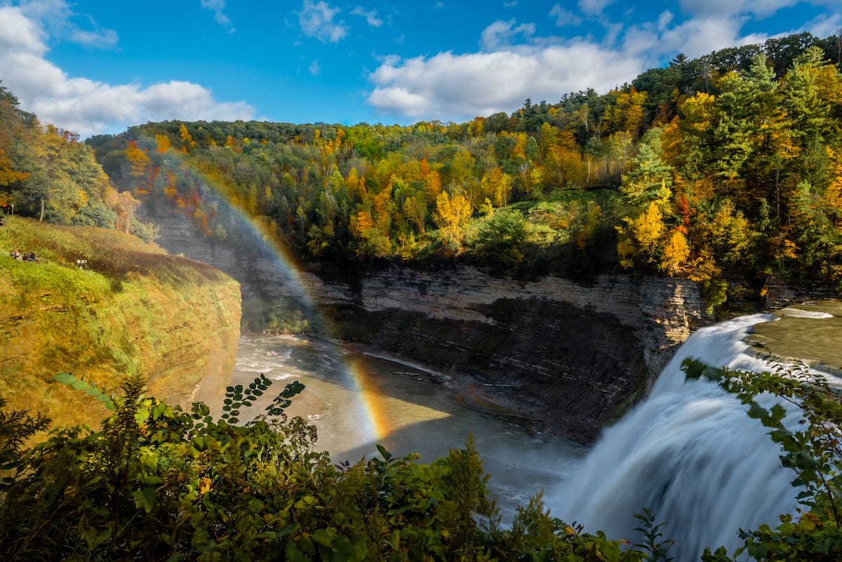 Buffalo — Buffalo scenic landscape travel