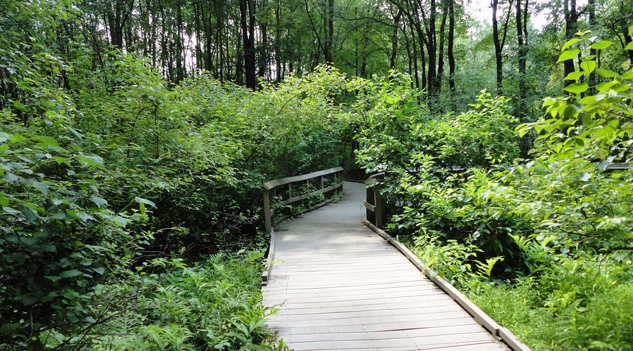 Churchville — Churchville scenic landscape travel