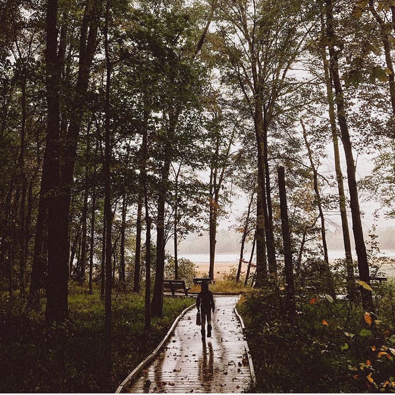 Churchville — Churchville campground nature