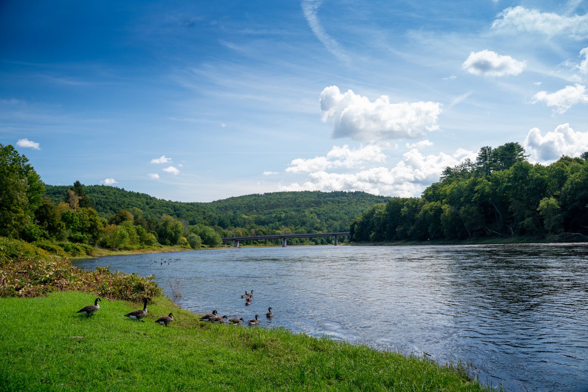 Newark — Newark campground nature