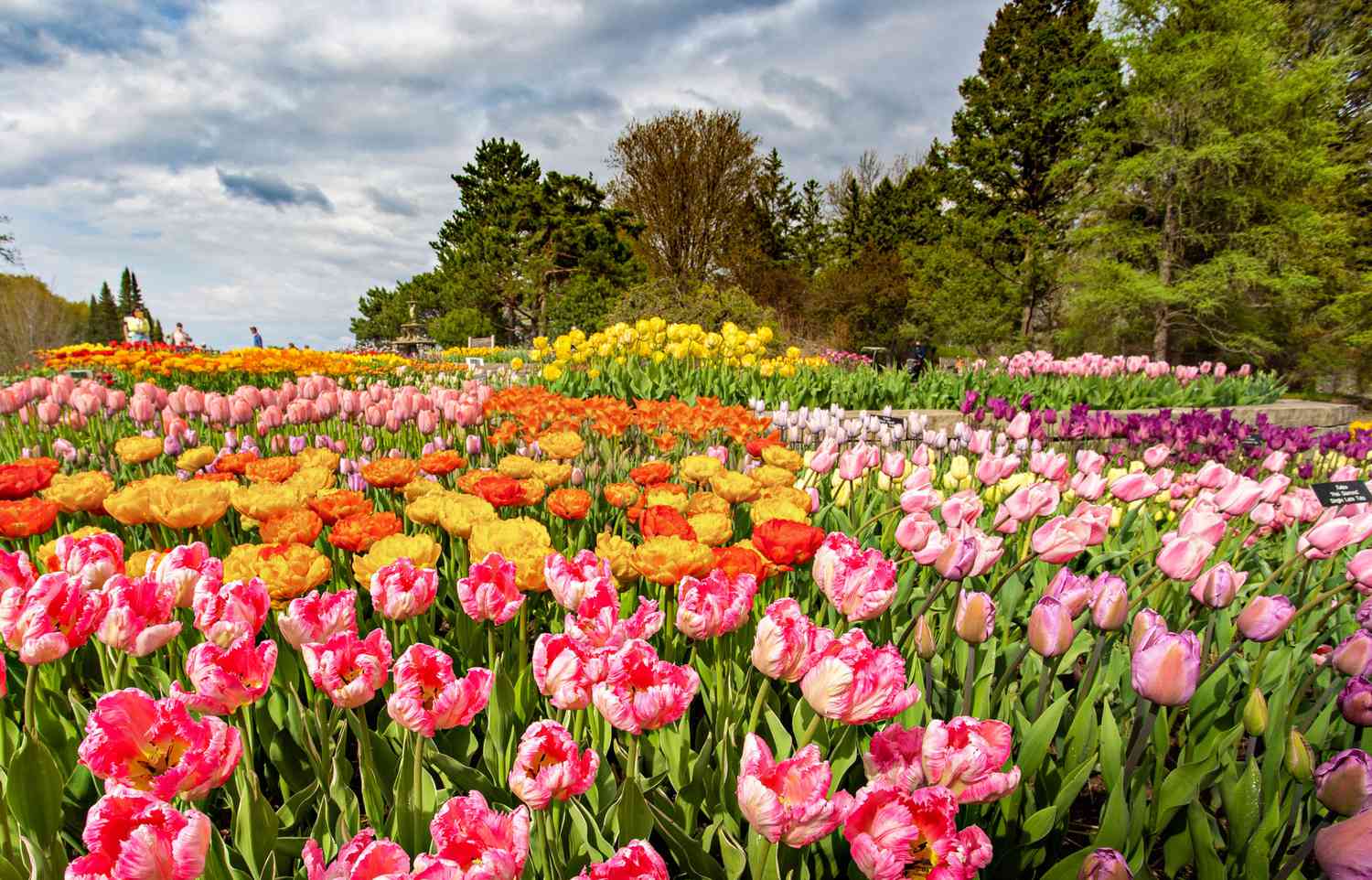Chaska — Chaska scenic landscape travel