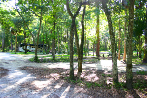 Chaska — Chaska campground nature