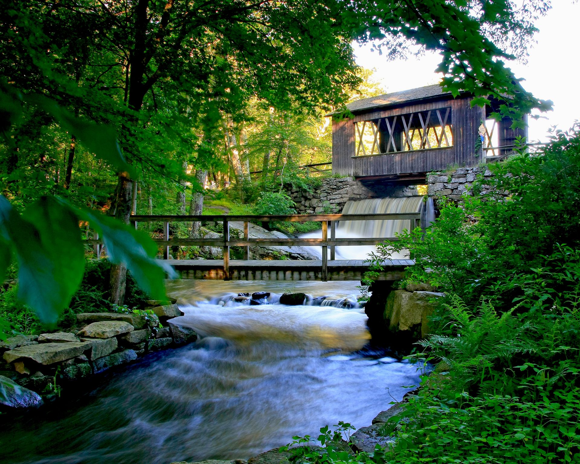 Worcester — Worcester campground nature