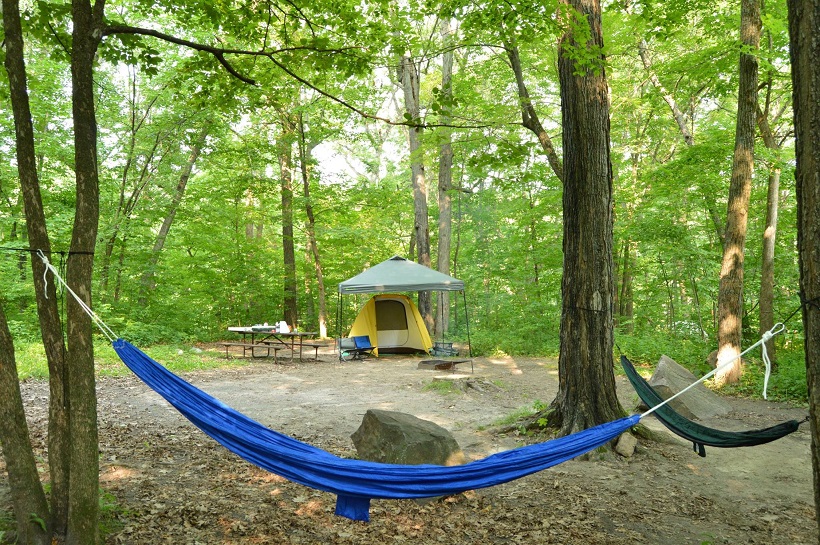 Chicago — Chicago campground nature