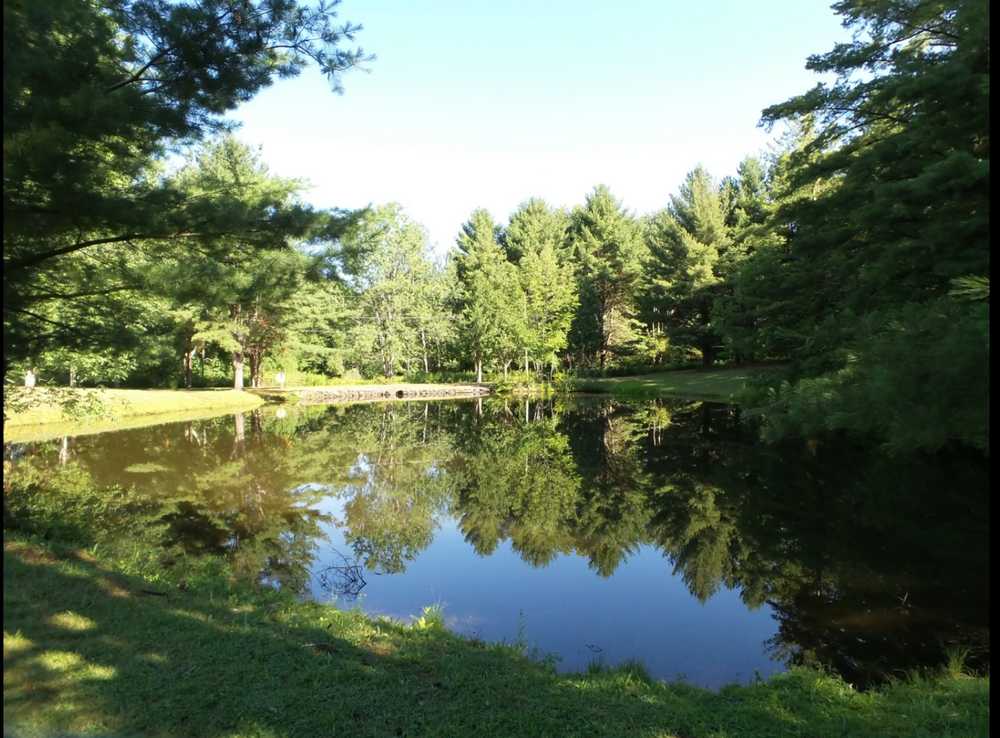 Aurora — Aurora campground nature