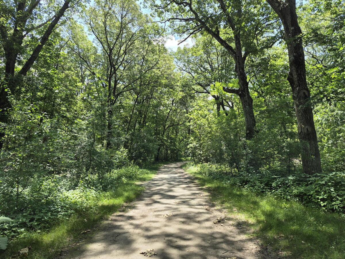 Franklin Park — Franklin Park campground nature