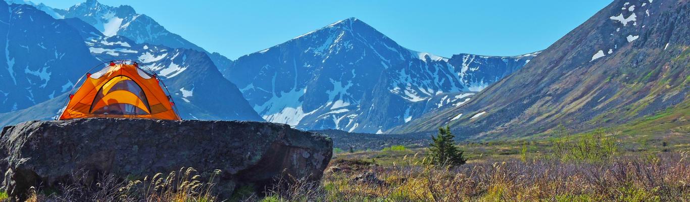 Anchorage — Anchorage campground nature