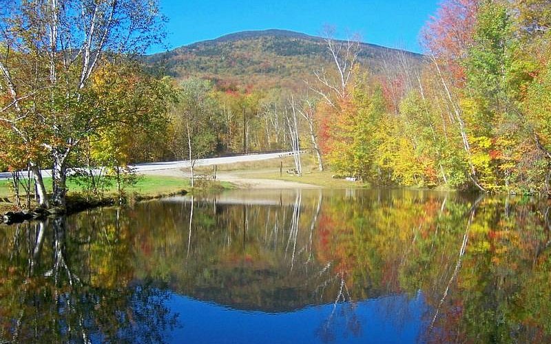 Woodstock — natura na kempingu