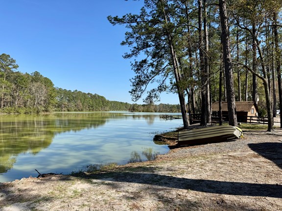 Richmond Hill — Richmond Hill campground nature