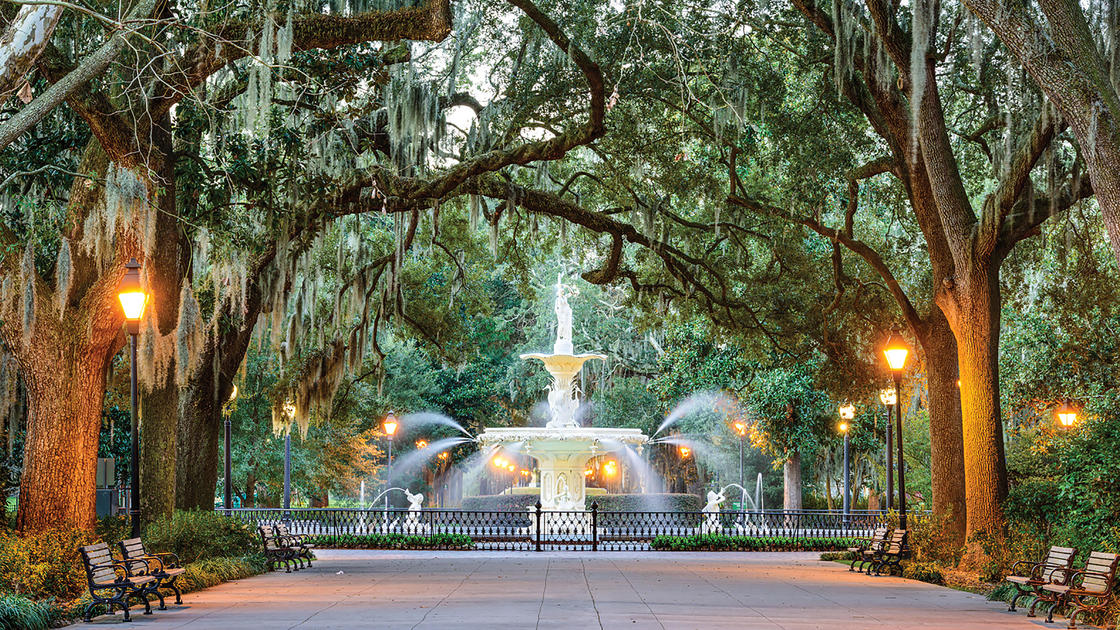 Savannah — malowniczy krajobraz Savannah