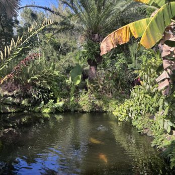 Hialeah Gardens — Natura na kempingu w Hialeah Gardens