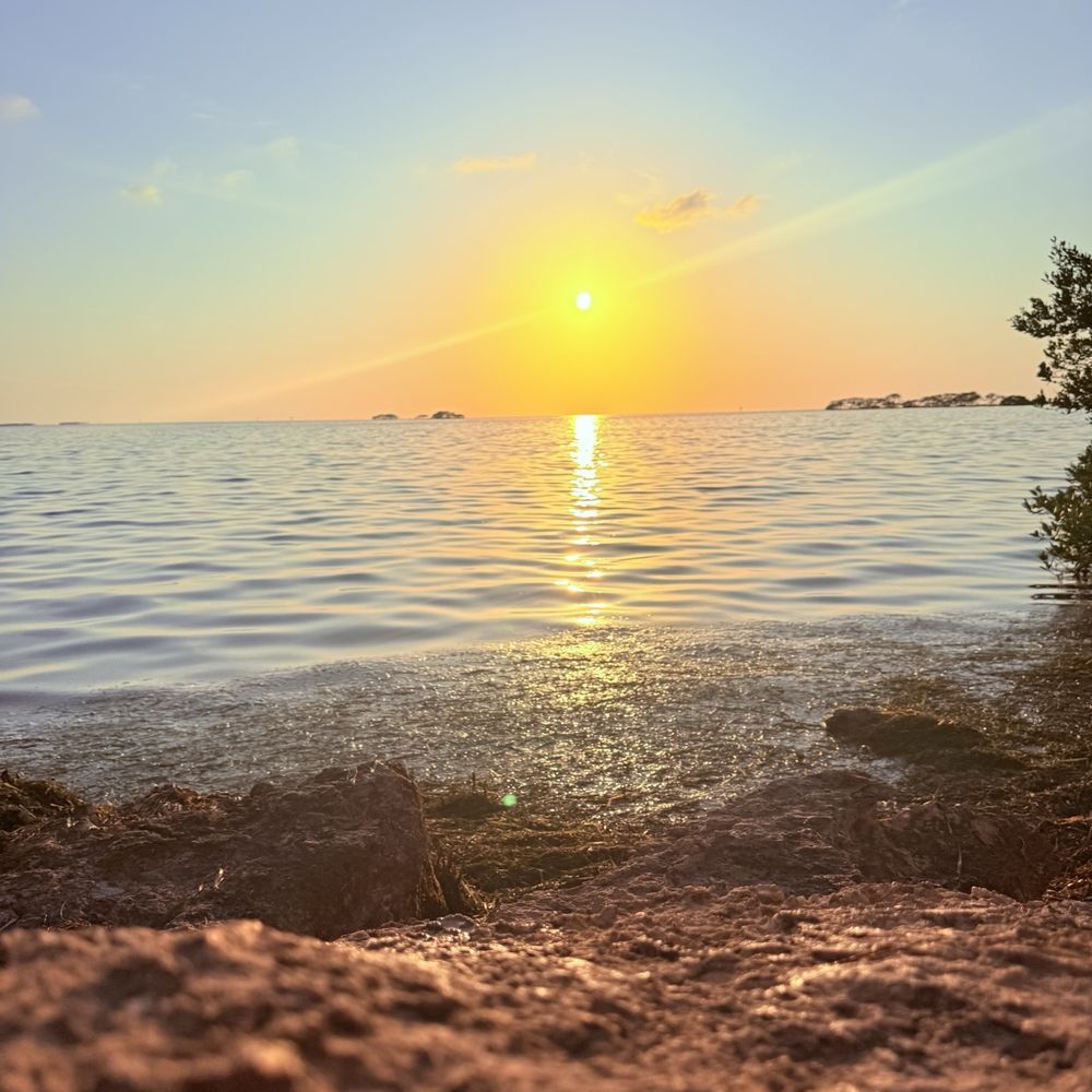 Palm Harbor — krajobraz Palm Harbor podróż