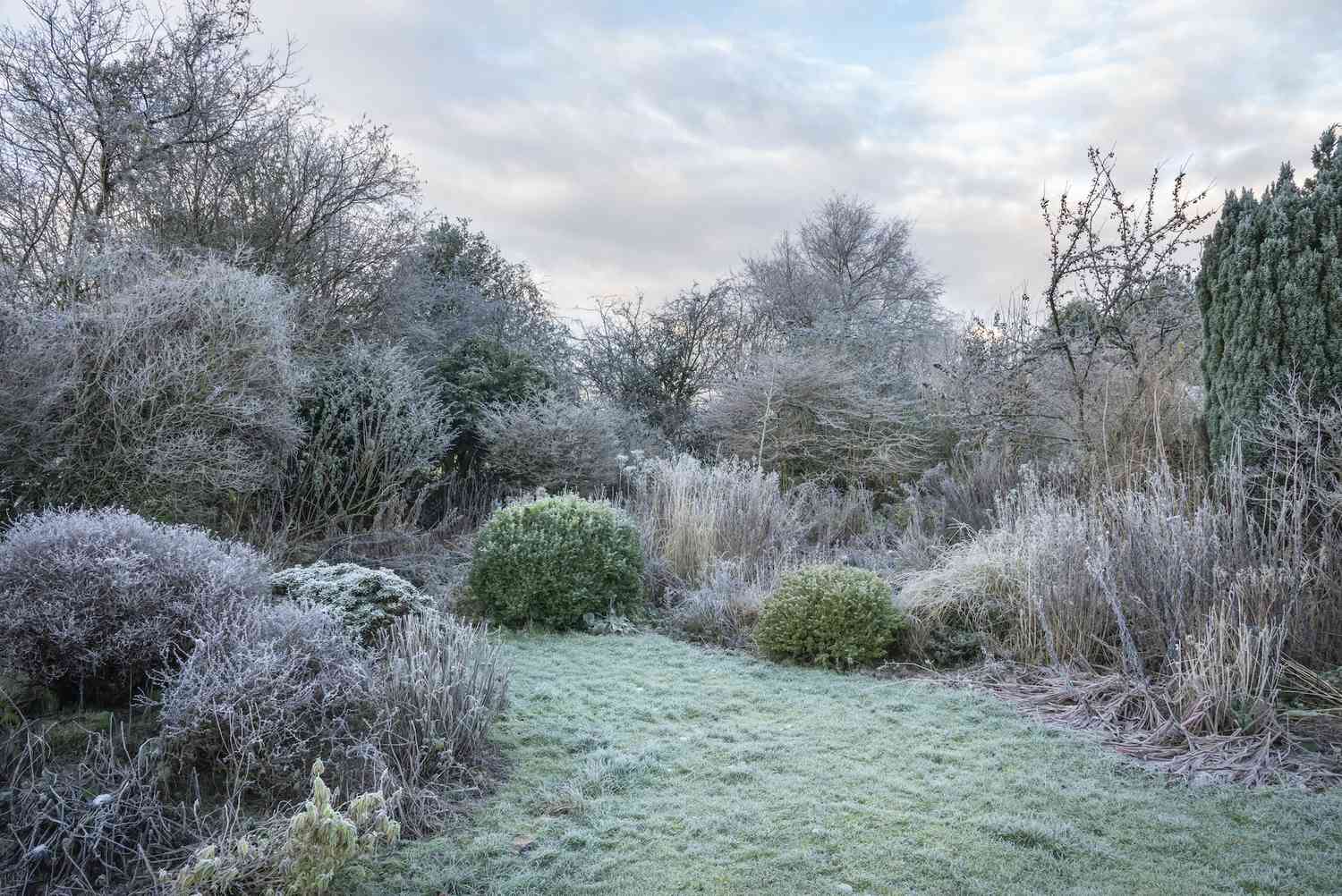 Winter Garden — malowniczy krajobraz podróży w Winter Garden