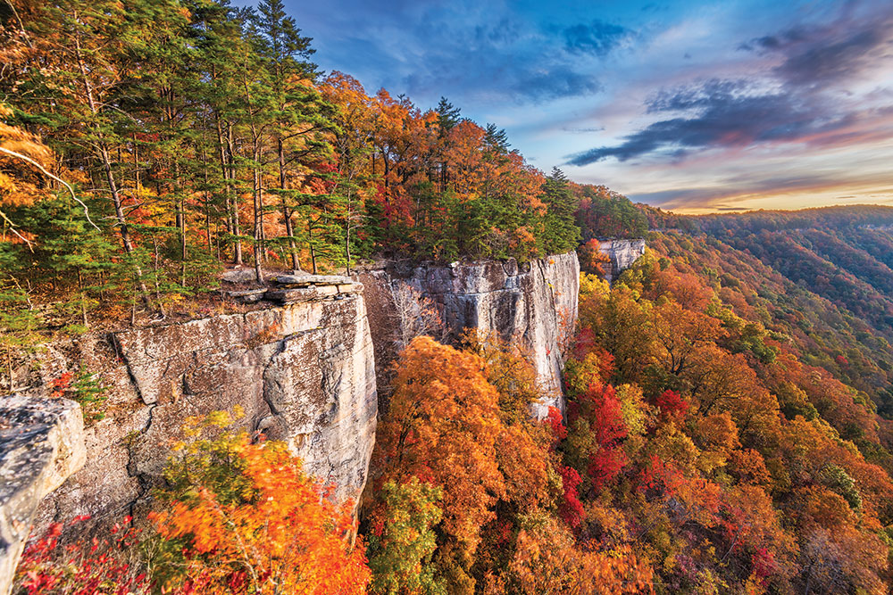 Pittsburgh — Natura kempingowa w Pittsburghu