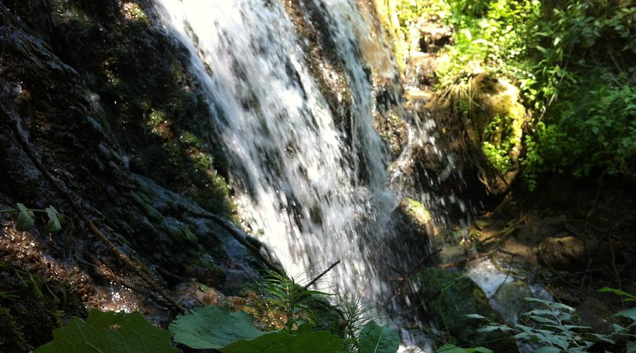 Varna — Varna campground nature