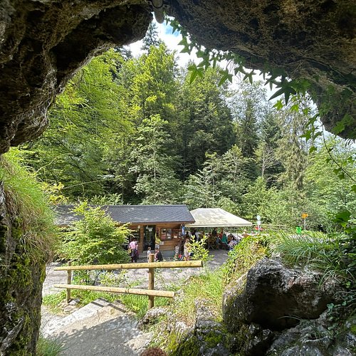 Zug — Zug campground nature