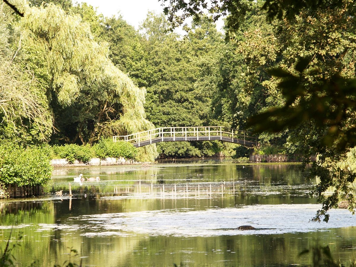 Antwerpia — natura na kempingu w Antwerpii