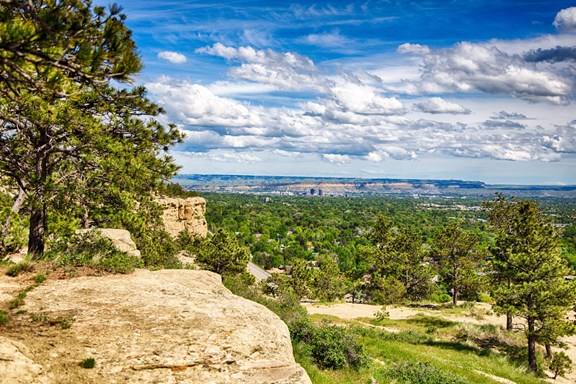 Billings — Billings campground nature