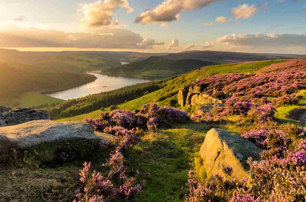 Liverpool — Liverpool scenic landscape travel
