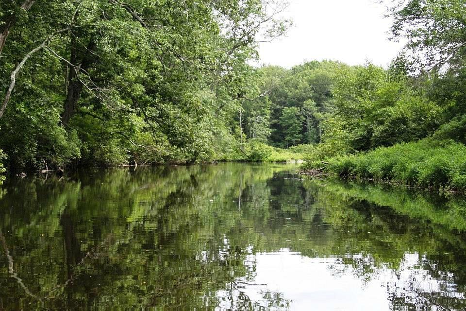 Exeter - Airport — Exeter - Airport campground nature