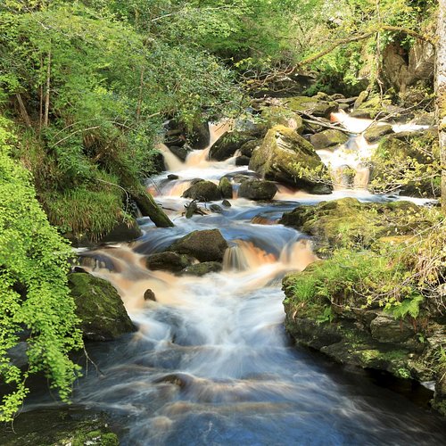 Derry City Airport — Derry City Airport campground nature