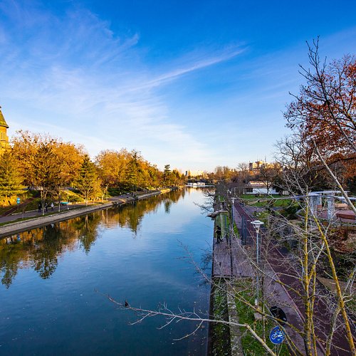 Timisoara — Timisoara campground nature